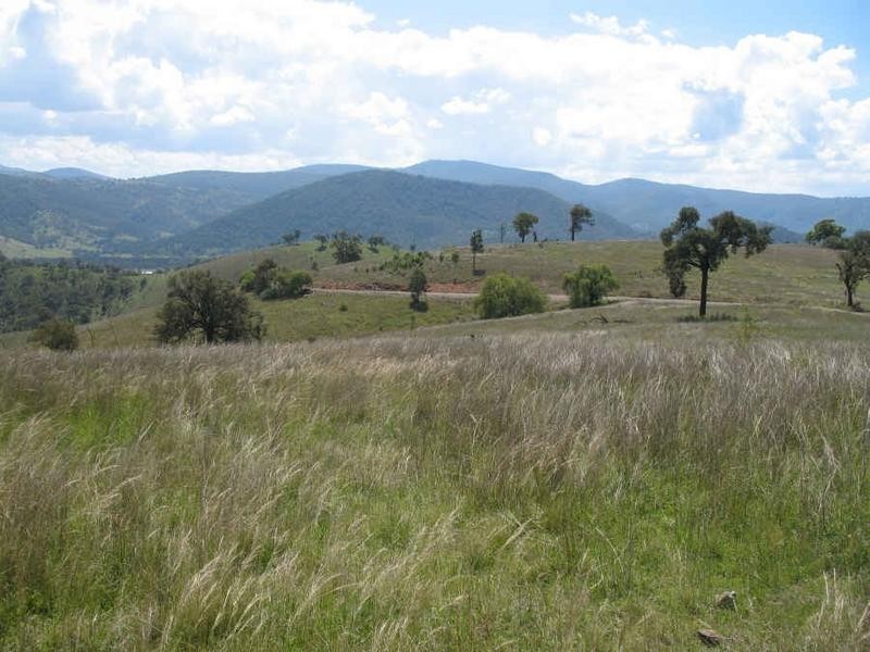 Tenterfield NSW 2372