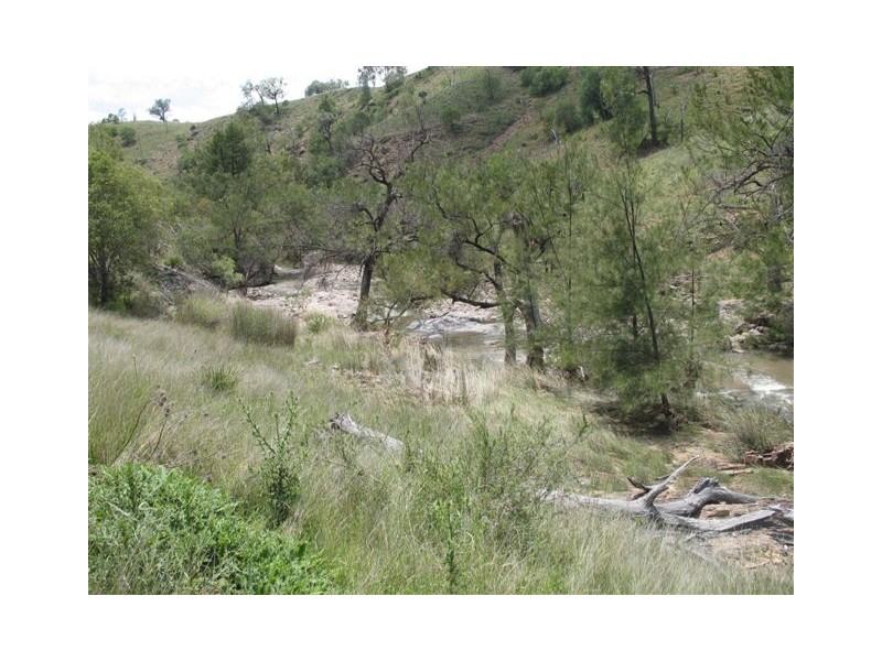 Tenterfield NSW 2372