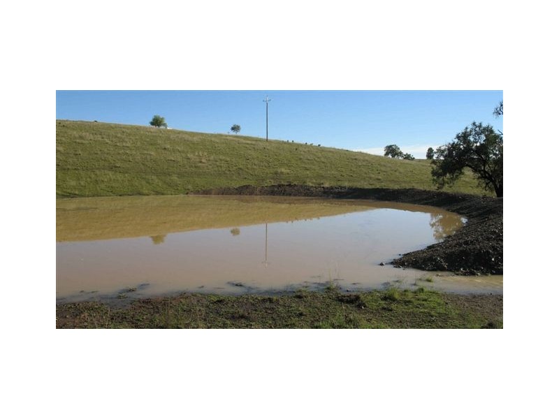 Tenterfield NSW 2372