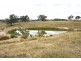 Tenterfield NSW 2372