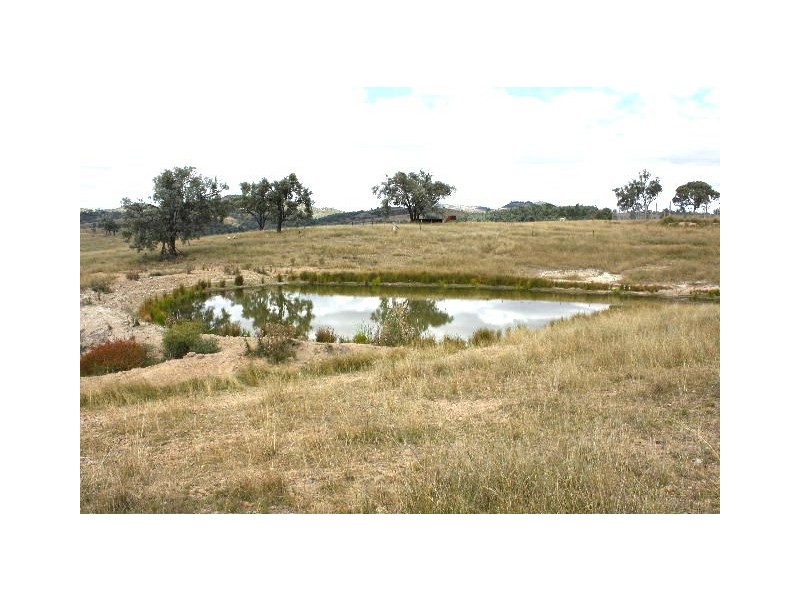 Tenterfield NSW 2372