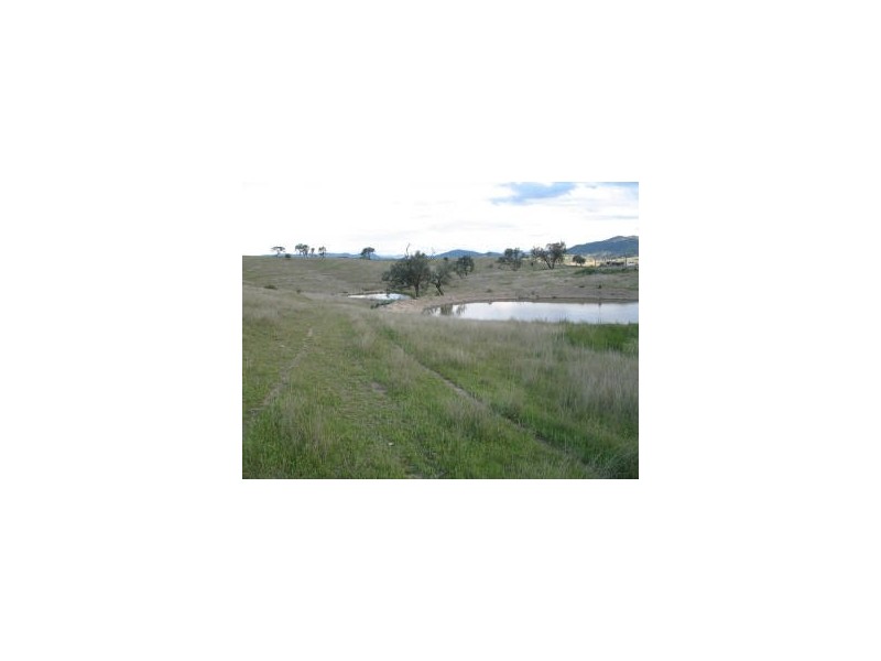 Tenterfield NSW 2372