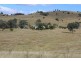 Tenterfield NSW 2372