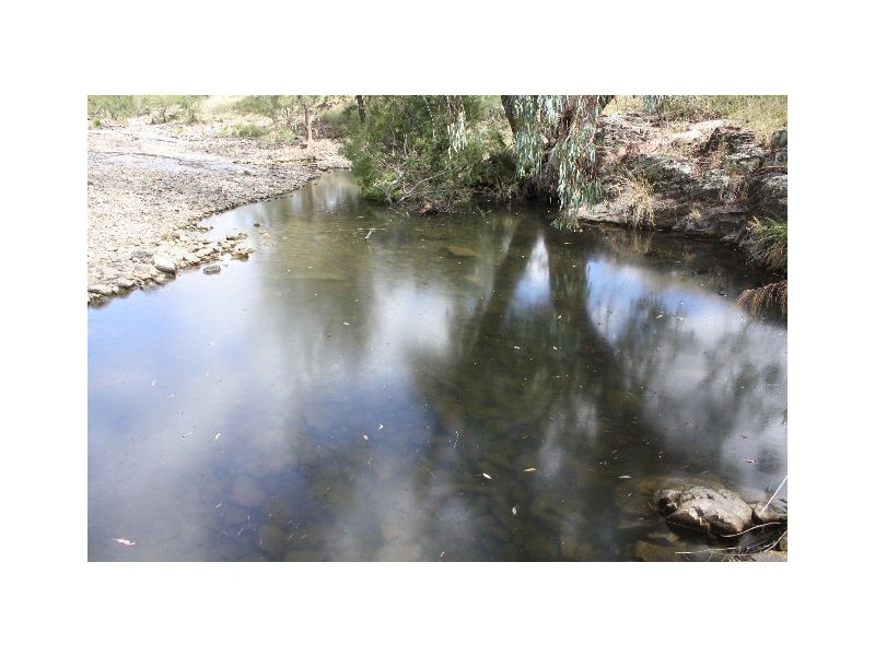 Tenterfield NSW 2372