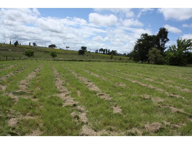 Tenterfield NSW 2372