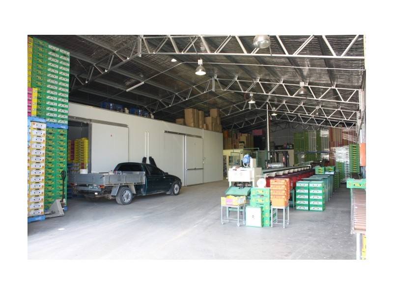 Tenterfield NSW 2372