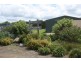 Tenterfield NSW 2372
