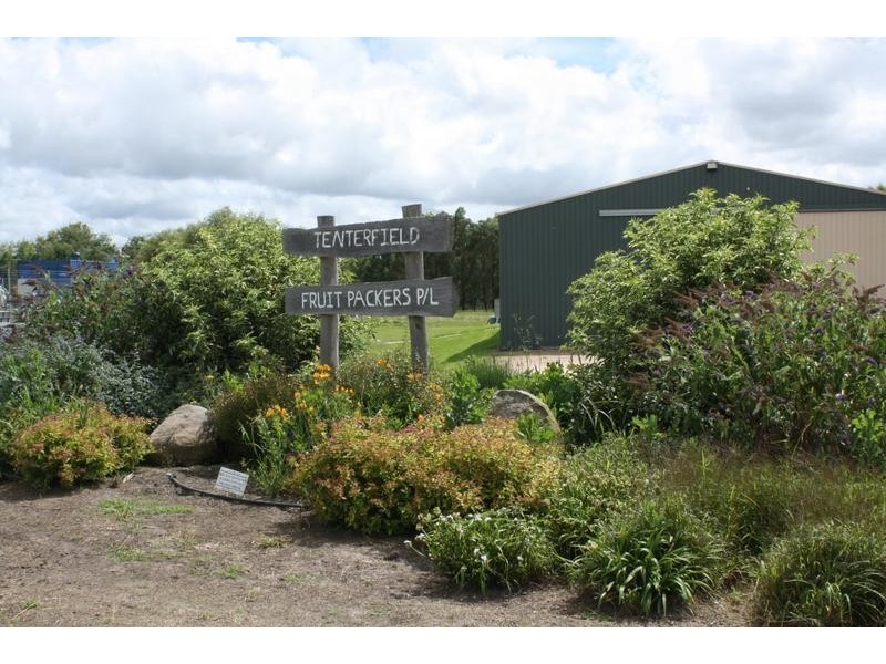 Tenterfield NSW 2372