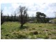 Tenterfield NSW 2372