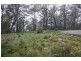 Tenterfield NSW 2372