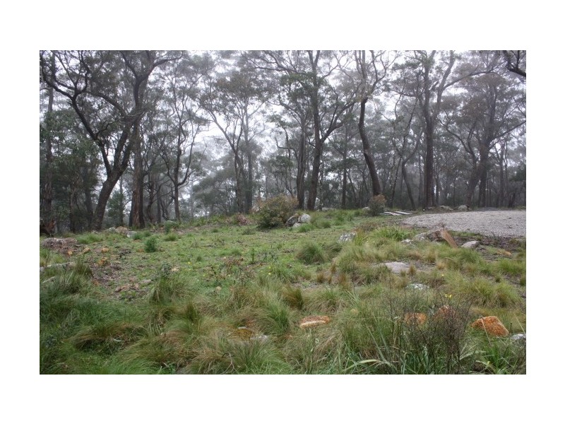 Tenterfield NSW 2372