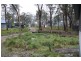 Tenterfield NSW 2372