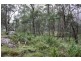 Tenterfield NSW 2372