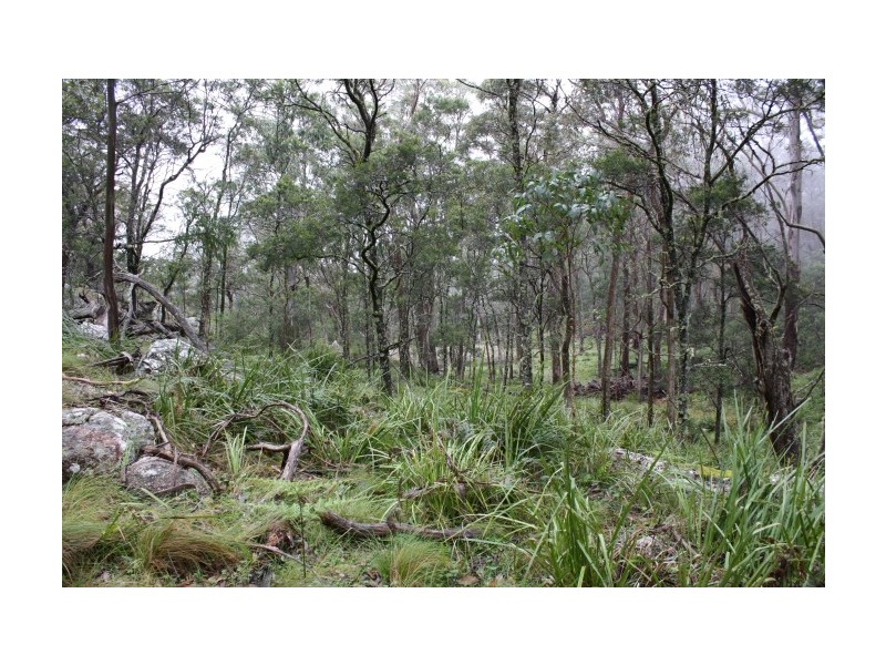 Tenterfield NSW 2372