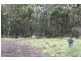 Tenterfield NSW 2372