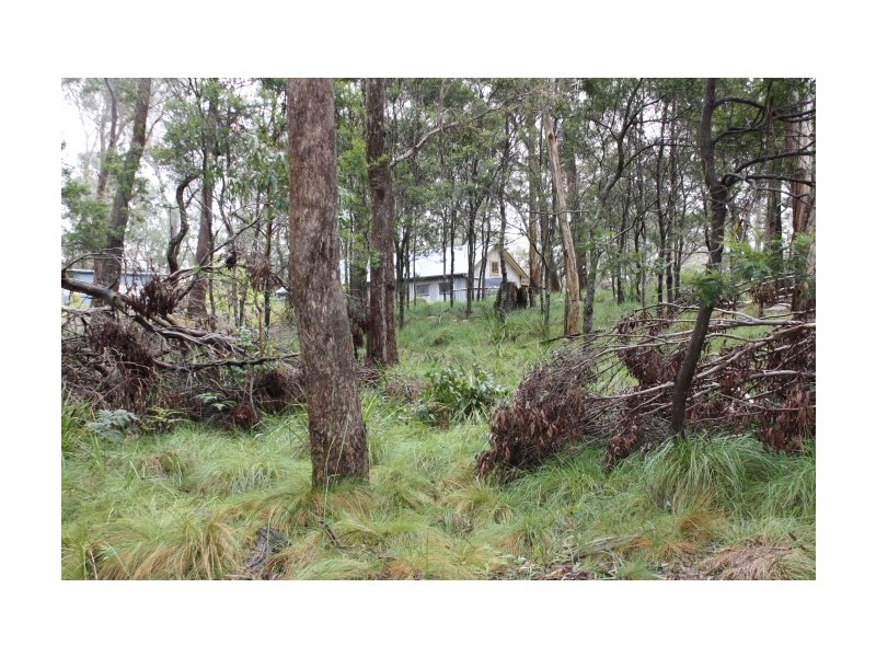 Tenterfield NSW 2372