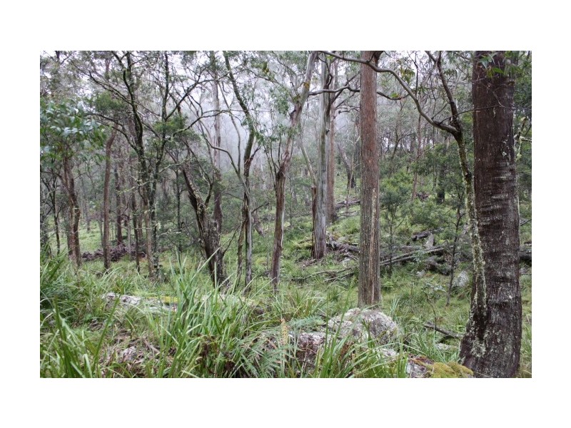 Tenterfield NSW 2372