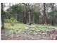 Tenterfield NSW 2372