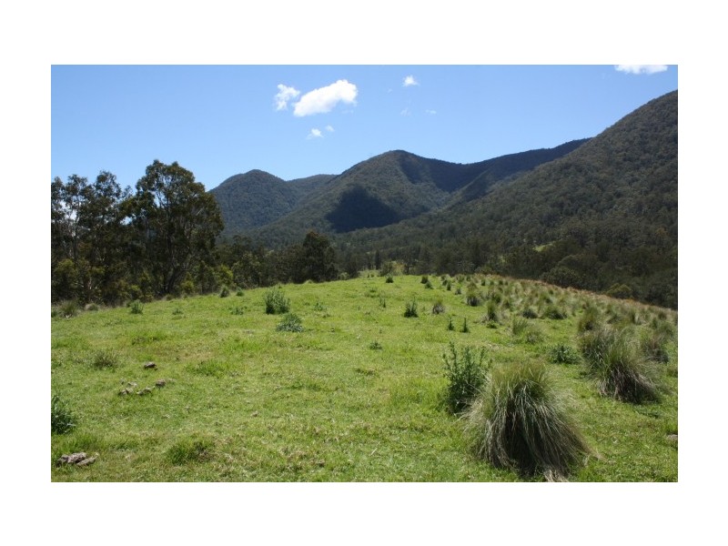 Tenterfield NSW 2372