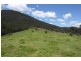 Tenterfield NSW 2372