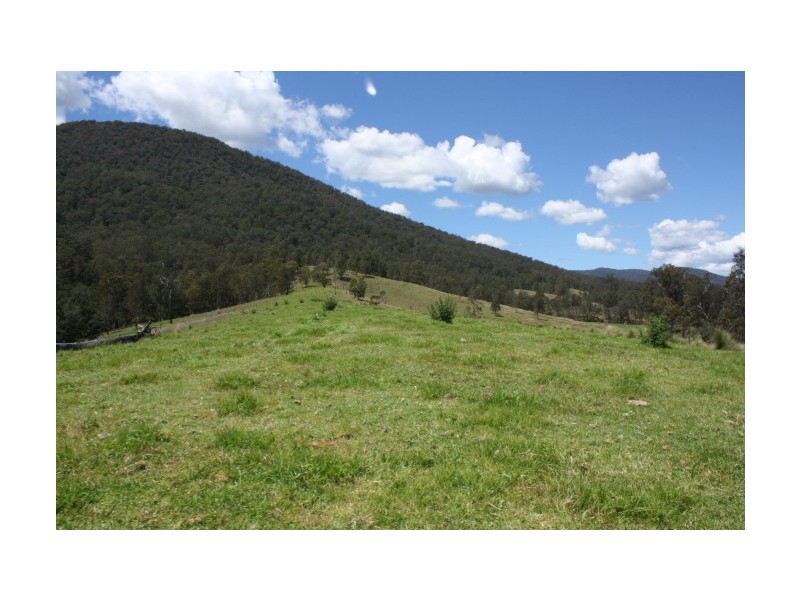 Tenterfield NSW 2372