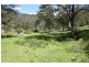 Tenterfield NSW 2372