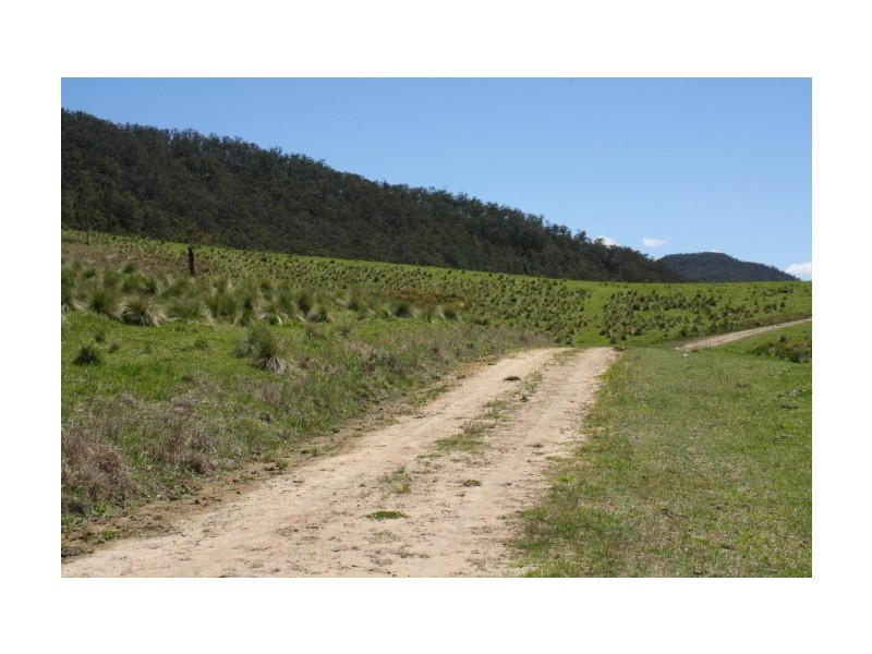Tenterfield NSW 2372