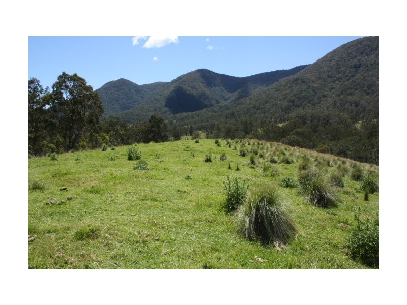 Tenterfield NSW 2372