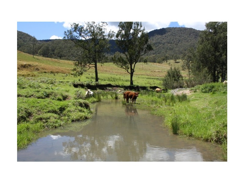 Tenterfield NSW 2372