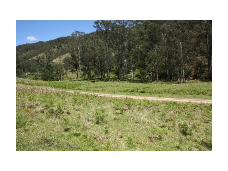 Tenterfield NSW 2372