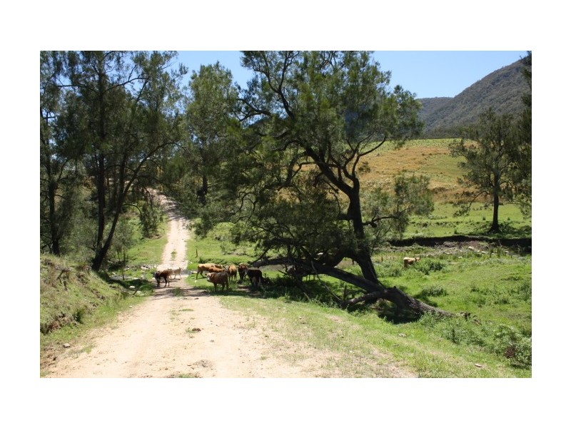 Tenterfield NSW 2372
