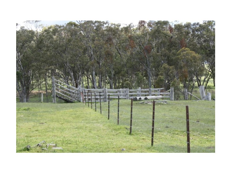 Tenterfield NSW 2372