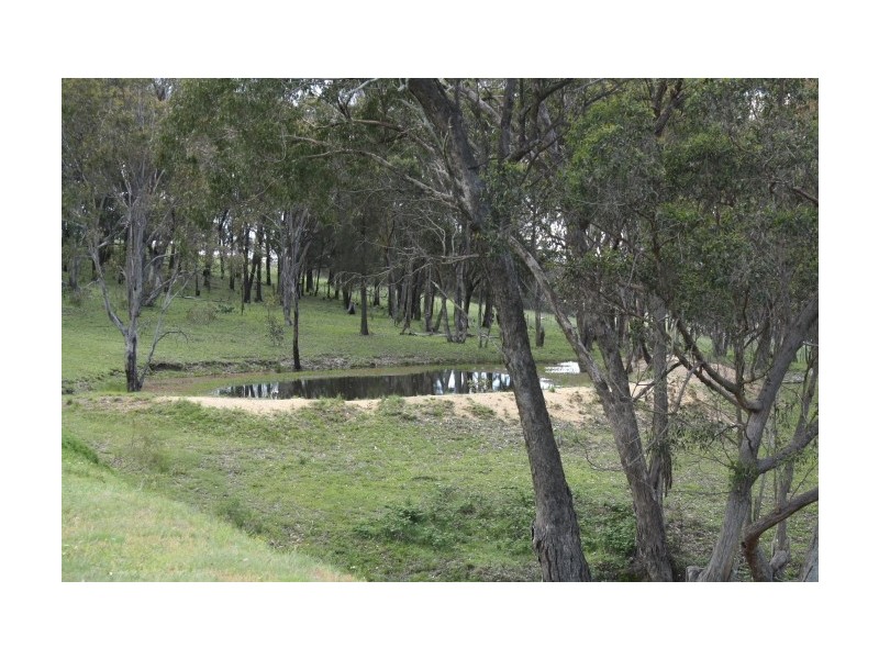 Tenterfield NSW 2372