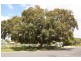 109 Wood Street, Tenterfield NSW 2372