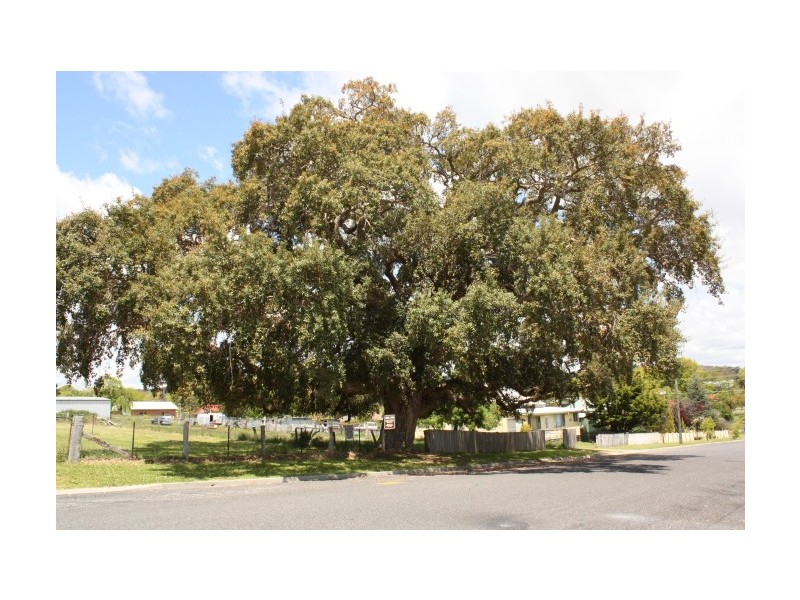 109 Wood Street, Tenterfield NSW 2372