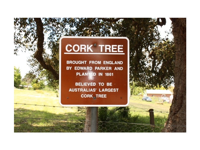 109 Wood Street, Tenterfield NSW 2372