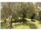 109 Wood Street, Tenterfield NSW 2372