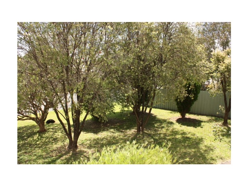 109 Wood Street, Tenterfield NSW 2372