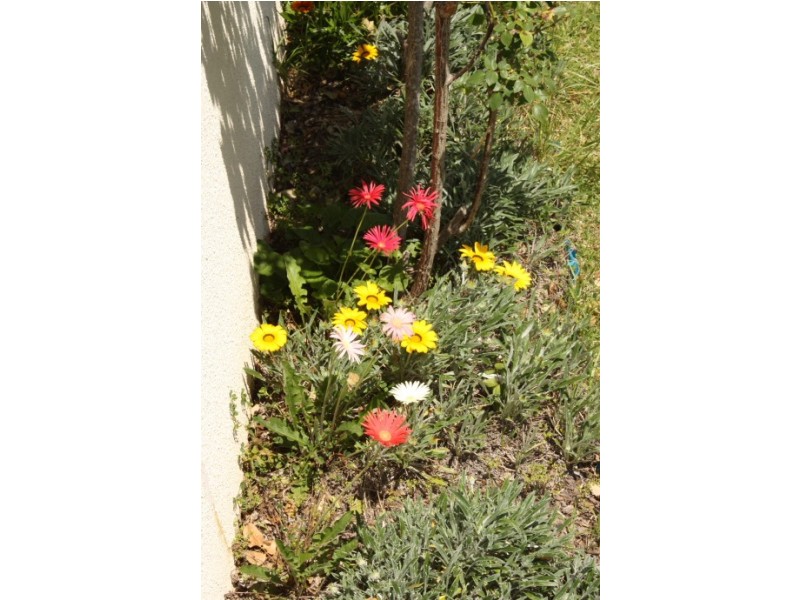 109 Wood Street, Tenterfield NSW 2372