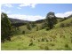 Tenterfield NSW 2372