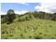 Tenterfield NSW 2372