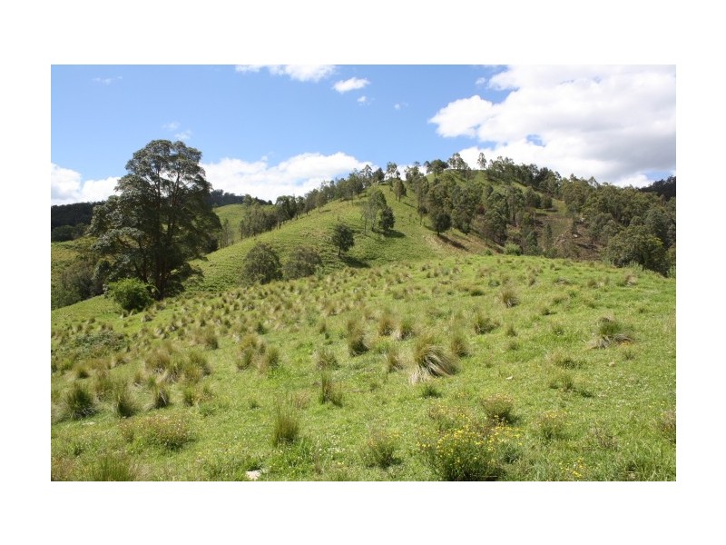 Tenterfield NSW 2372