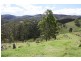 Tenterfield NSW 2372