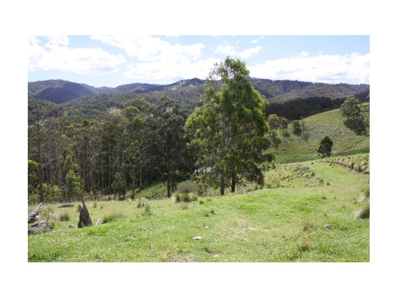 Tenterfield NSW 2372