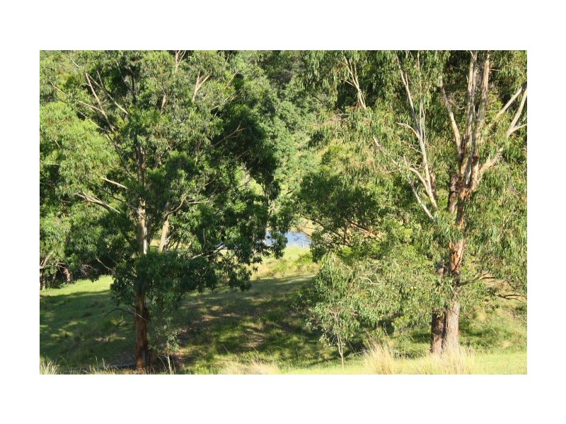 Tenterfield NSW 2372