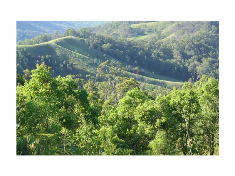 Tenterfield NSW 2372