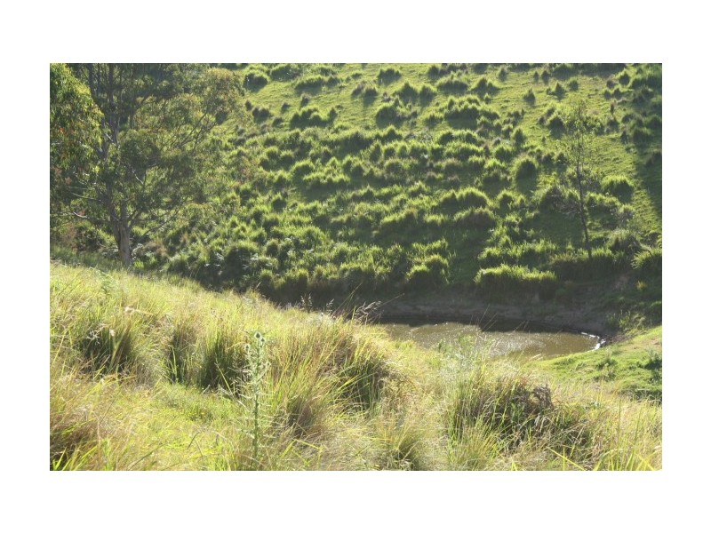 Tenterfield NSW 2372