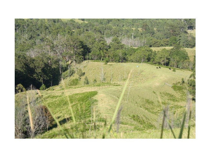 Tenterfield NSW 2372