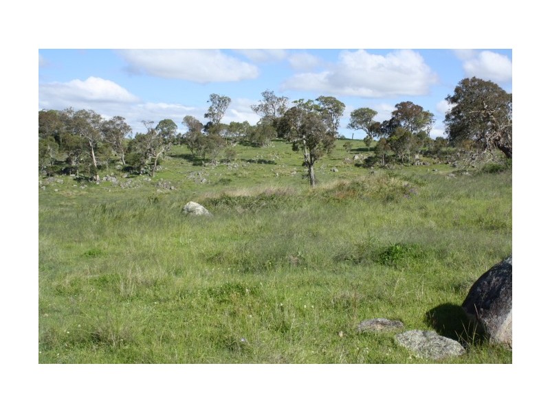 Tenterfield NSW 2372