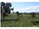 Tenterfield NSW 2372